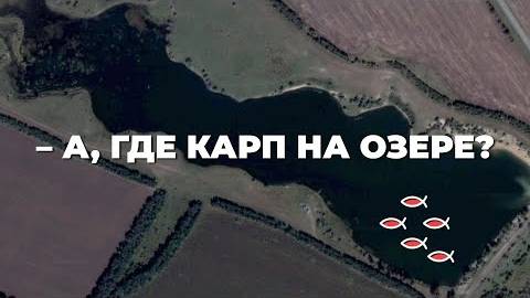 Как найти карпа на озере летом — рабочие места стоянки карпа, глубина и время клева
