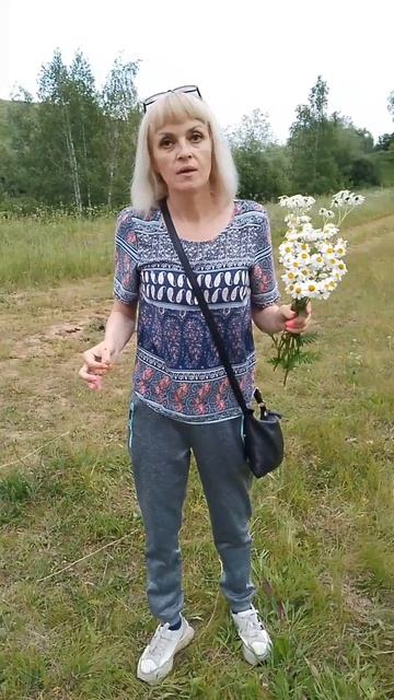 Земляника подождет, а ромашка - в самый раз!