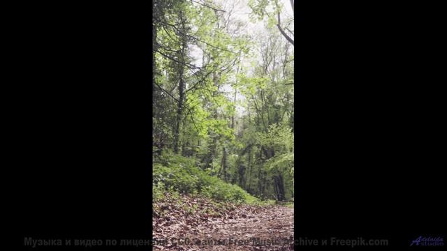 Поля раскрываются вместе с каждым новым ритмом - Final Goodbye -- Kirk Osamayo -- Season Two (RED)