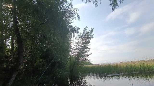 Грусть а не рыбалка(((,