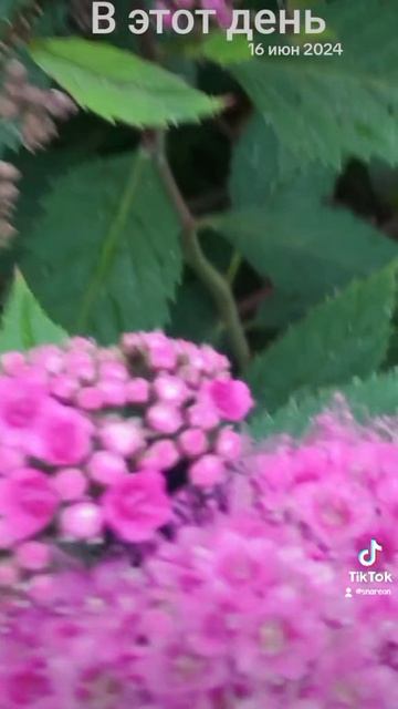 1000027738.mp4