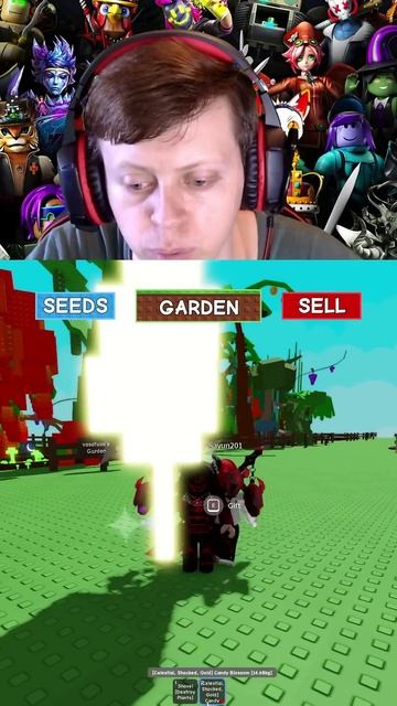 РОБЛОКС ВЫРАСТИ САД ПРИНИМАЮ ПРДАРОЧКИ #denisenplay #roblox