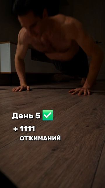 День 5 ✅️