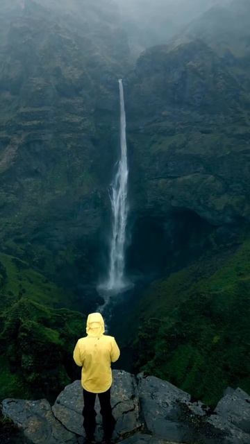 -6935307692725761514