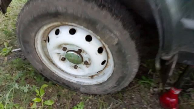 природа,лес,отдых,просто кайф!