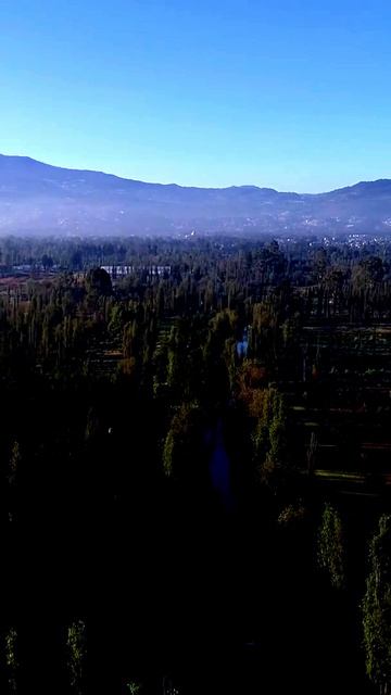 Моменты, запечатленные на камеру