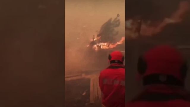 Более 3300 тибетцев были эвакуированы из-за лесных пожаров, бушующих в горах провинции Сычуань, Кита