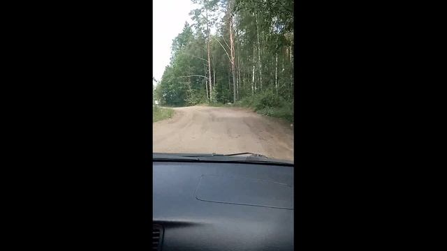 Катаемся по лесной дороге