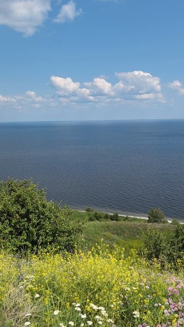 Волжский берег 14. 06. 25