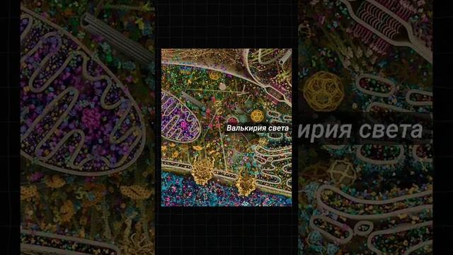 1750016543286.mp4