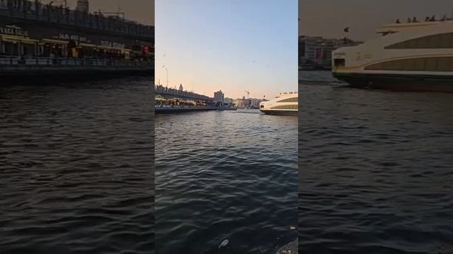 Turkey Fabrica (Склады Турции) в прямом эфире!