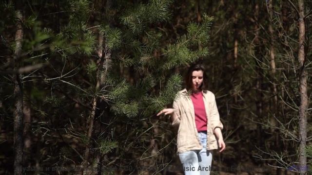 В голове остаётся только один вопрос - как такое возможно - Quiet Moonlit Countrysides -- HoliznaCC0