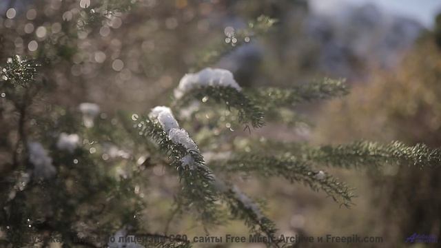 Здесь НЕЛЬЗЯ купаться после заката! - Letting Go -- Kirk Osamayo -- Season Two (YELLOW)