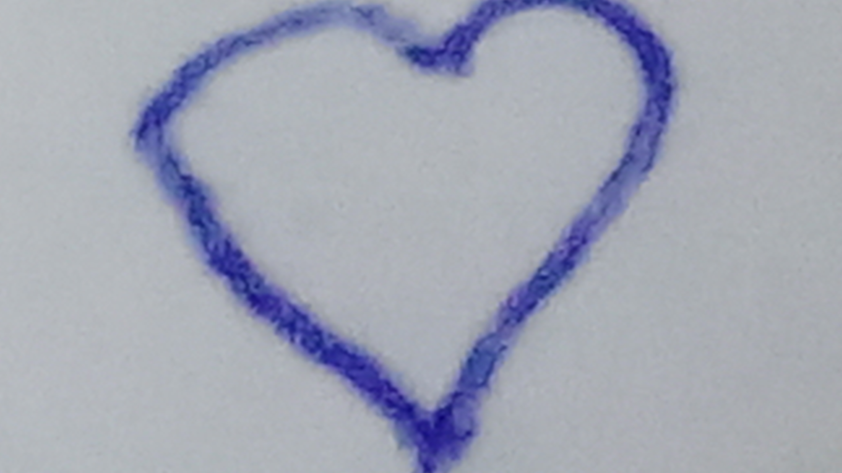 Тропинка 🛤️