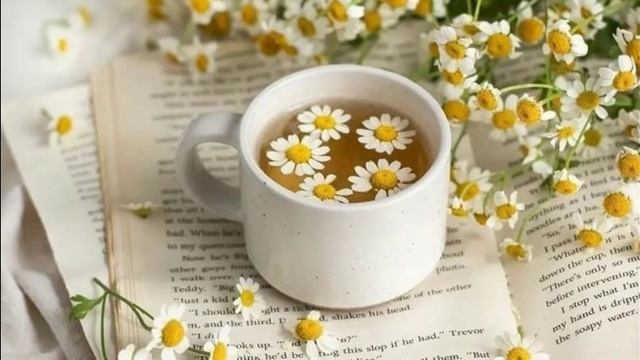 Самого доброго утра желаю 😊
