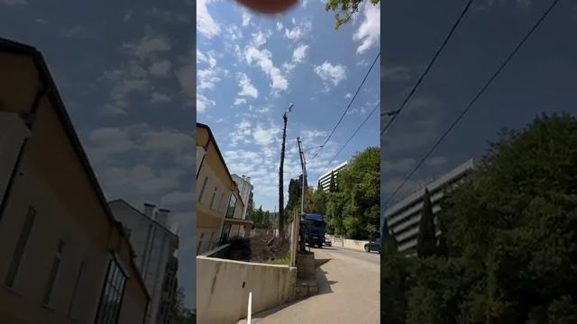 День России. Сочи.