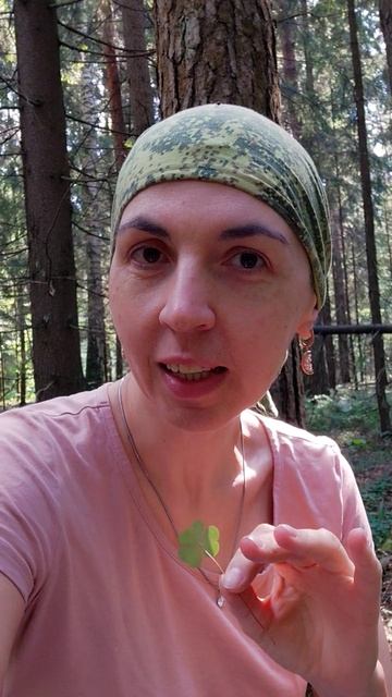 В ЛЕСУ КАК ОХОТНИК) Кислица