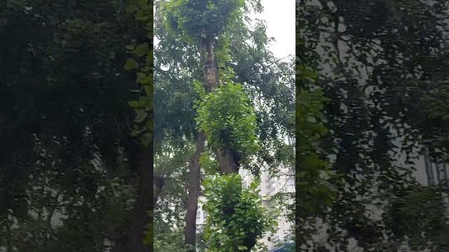 прогуляемся часть первая