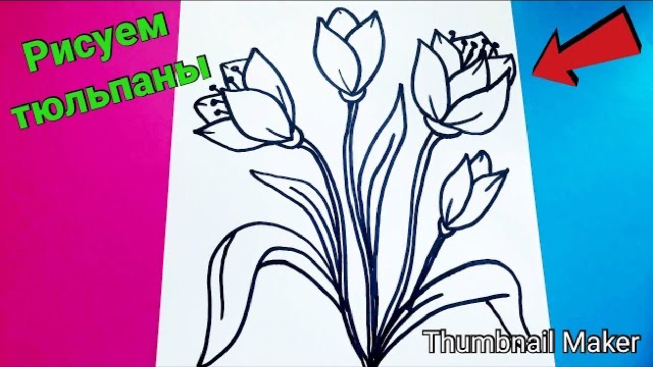 Как нарисовать ТЮЛЬПАНЫ 🌷 ПОЭТАПНО✍️ Учимся рисовать 🎨 Рисуем тюльпаны 🌷💐