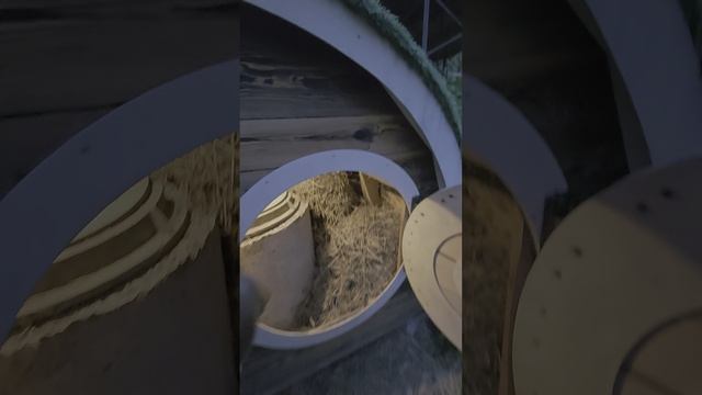 10.06.2025 Нск "Хвоя" овраг оформлен в стиле сказки "Алиса в стране чудес"