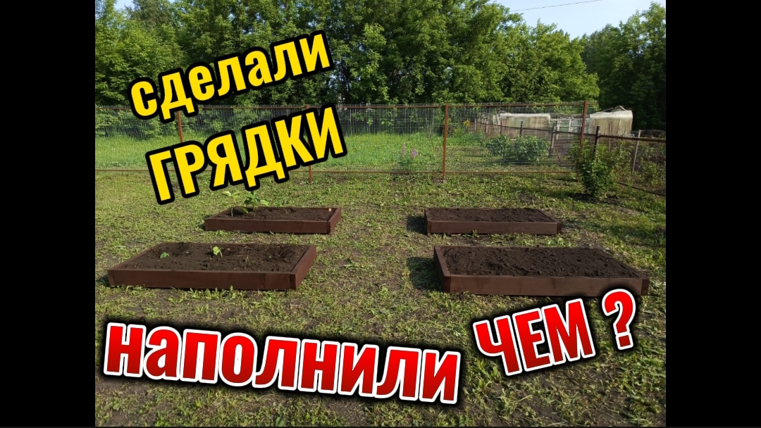 ЧЕМ НАПОЛНИТЬ ГРЯДКИ для хорошего урожая?! ч.2
