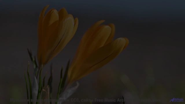 Ты будешь пересматривать его снова и снова - обещаю! - Жаль -- POVALISHIN DIVISION -- Выпускайте Кра