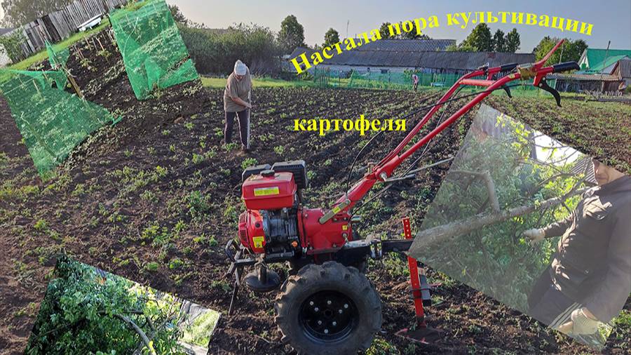 Культивирую участок 2025 г | Погода вносит коррективы