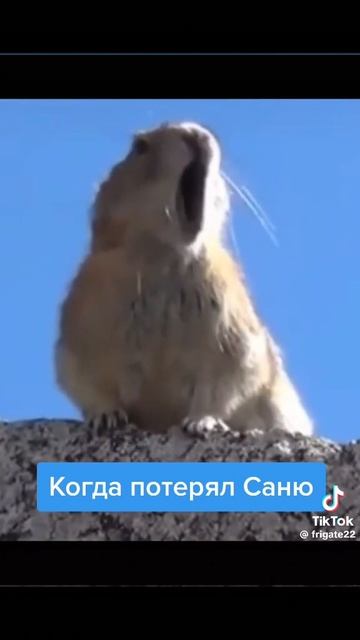 Когда потерял Саню
