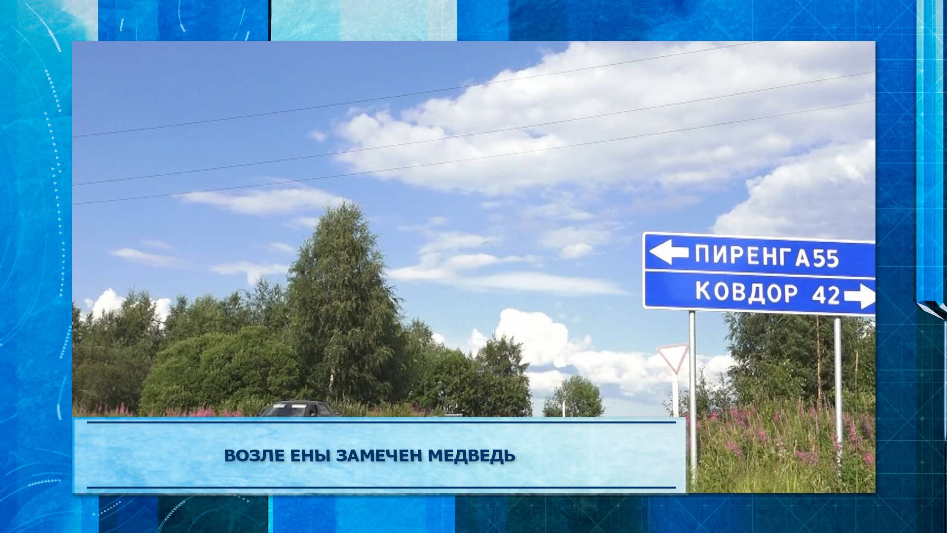 Возле Ены замечен медведь