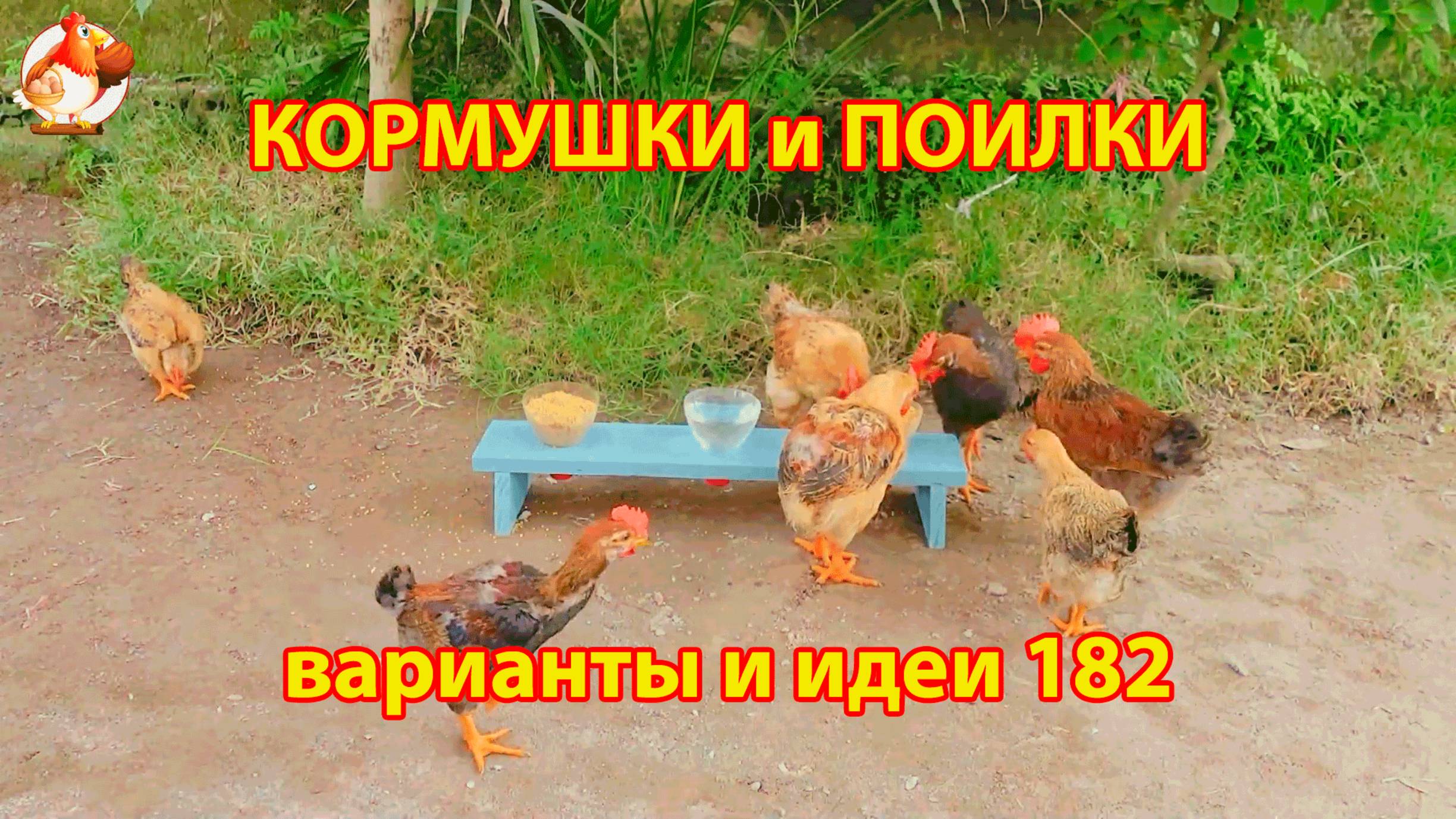 Кормушки и поилки для кур своими руками (182) 🪚✂️ Пошаговая инструкция как сделать 🐔 🐓❣️