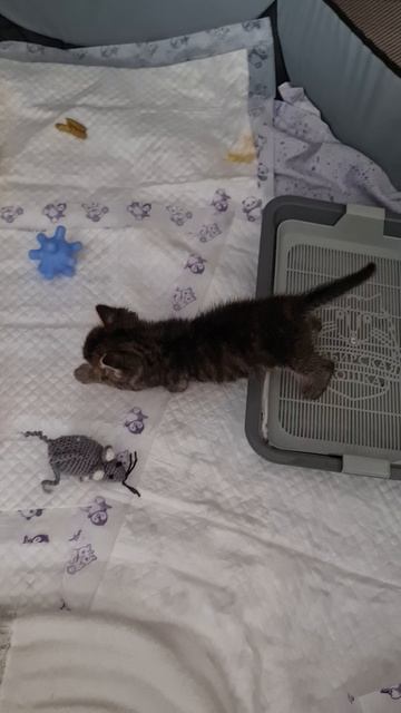 Мимо!
