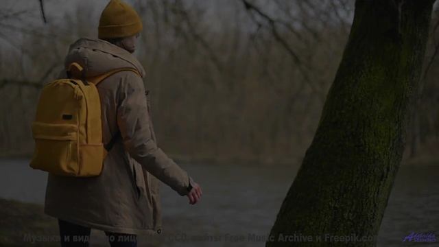 Вы не гуляли по лесу, пока не услышали этот саундтрек! - Not Listening -- Ketsa -- Equinox Rising