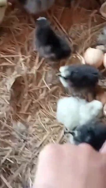 мир прекрасен...