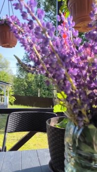 С добрым деревенским утром друзья❤!