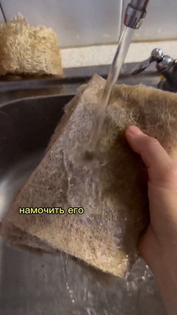 Как вырастить микрозелень? #микрозелень #ячмень