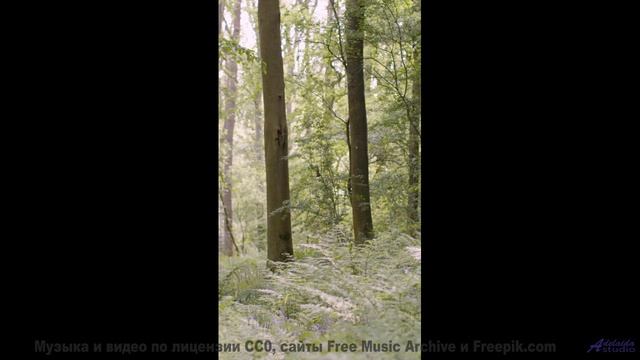 Музыка растворяет границы между зрителем и Землёй - Kaffeehausmusik -- Phillip Gross -- Quart