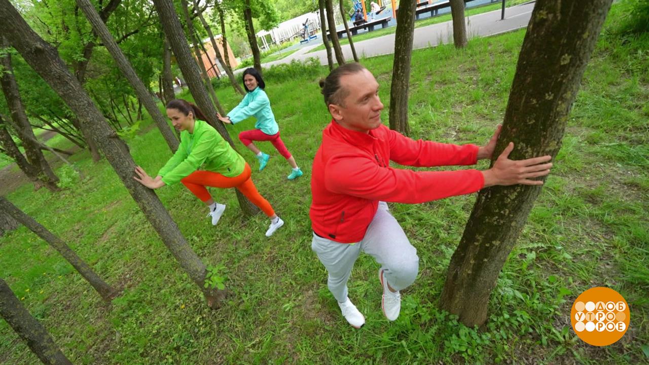 Разминка у дерева. Доброе утро. Фрагмент выпуска от 16.06.2025