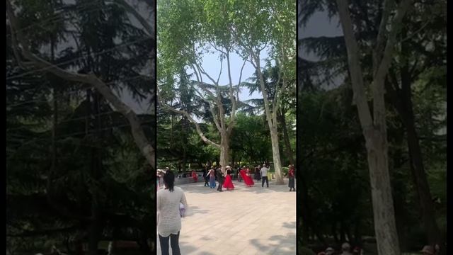 Даляньские пенсионеры в мае 2025: когда зажигают так, что молодежь завидует