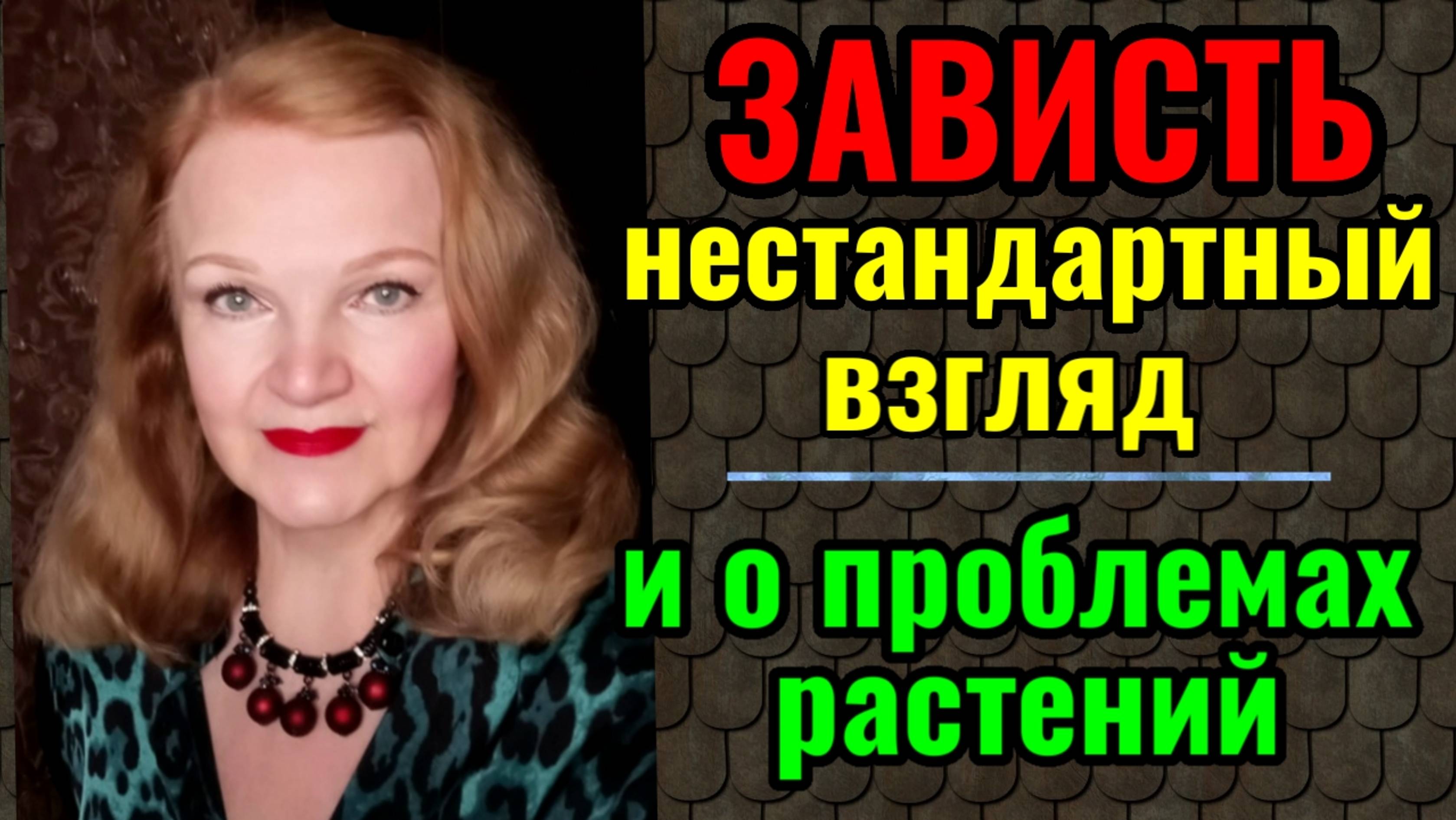 Почему зависть полезна. И как я решаю проблемы моих комнатных растений.