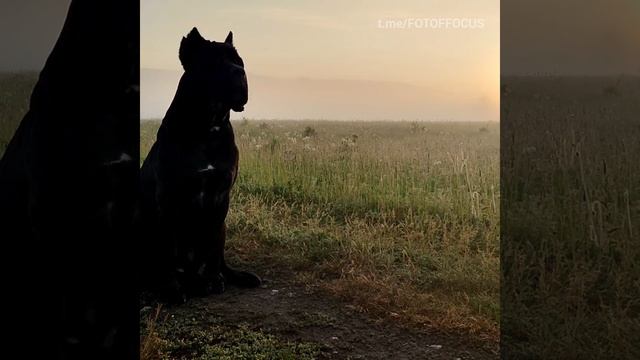 Место Силы - Алтай ✨ Усть-Коксинский район посёлок Октябрьское
