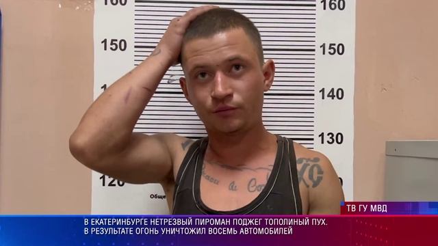 УМВД Пироман