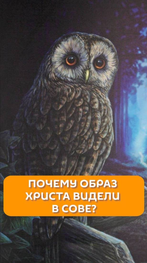 Почему образ Христа видели в сове?