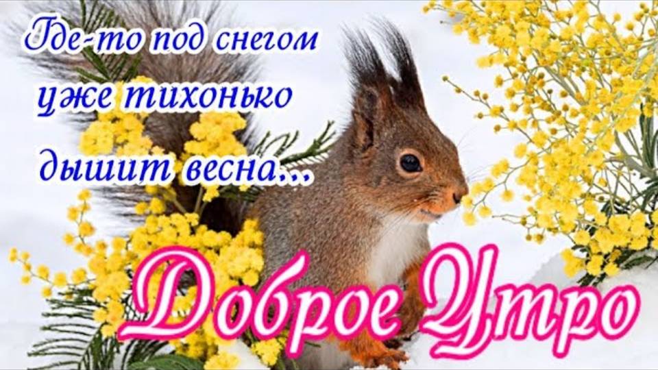 С Добрым Утром! Хорошего Дня! Пусть будут рядом Доброта, Здоровье, Мир и Красота!