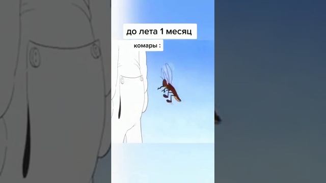 Подготовка к лету