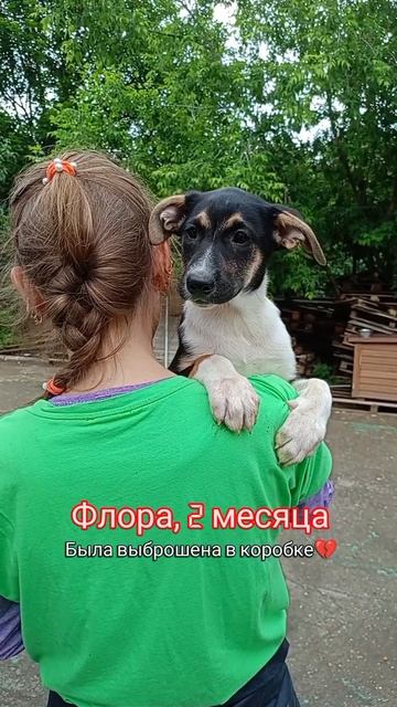 Малышка ждёт семью в приюте