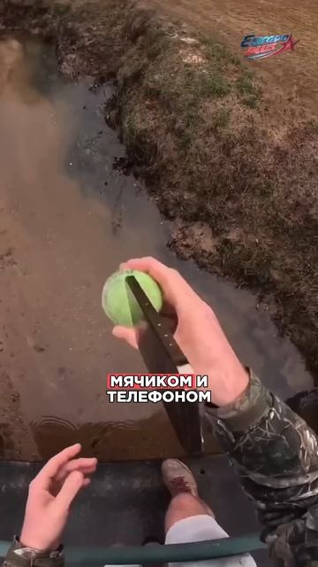 Он ИГРАЕТ на твоих НЕРВАХ! #нервы #трюки #сверхспособности #shorts