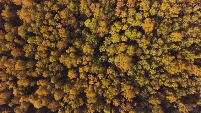 Сердце отдыхает под такие виды и ритмы - Palace -- Evan Schaeffer -- Afterthought
