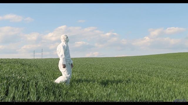 Музыка растворяет границы между зрителем и Землёй - Dim Dim -- Podington Bear -- Homage Fromage (Box