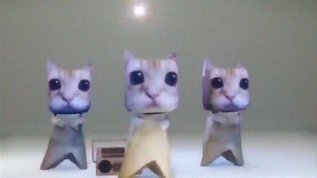 Котики танцуют под песню 1 час
