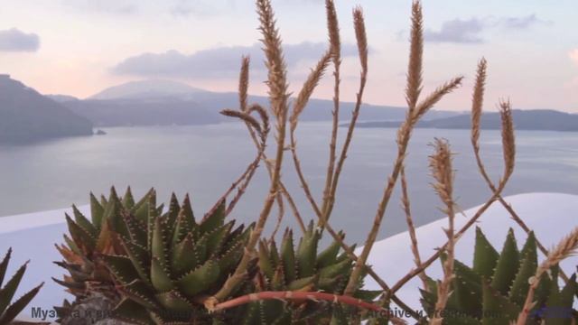 Глаза цепляются за кадры, уши ловят каждый аккорд - What Is This Thing Called Love -- Taylor Poe --